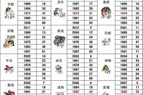 92年屬|1992年1月出生属什么生肖